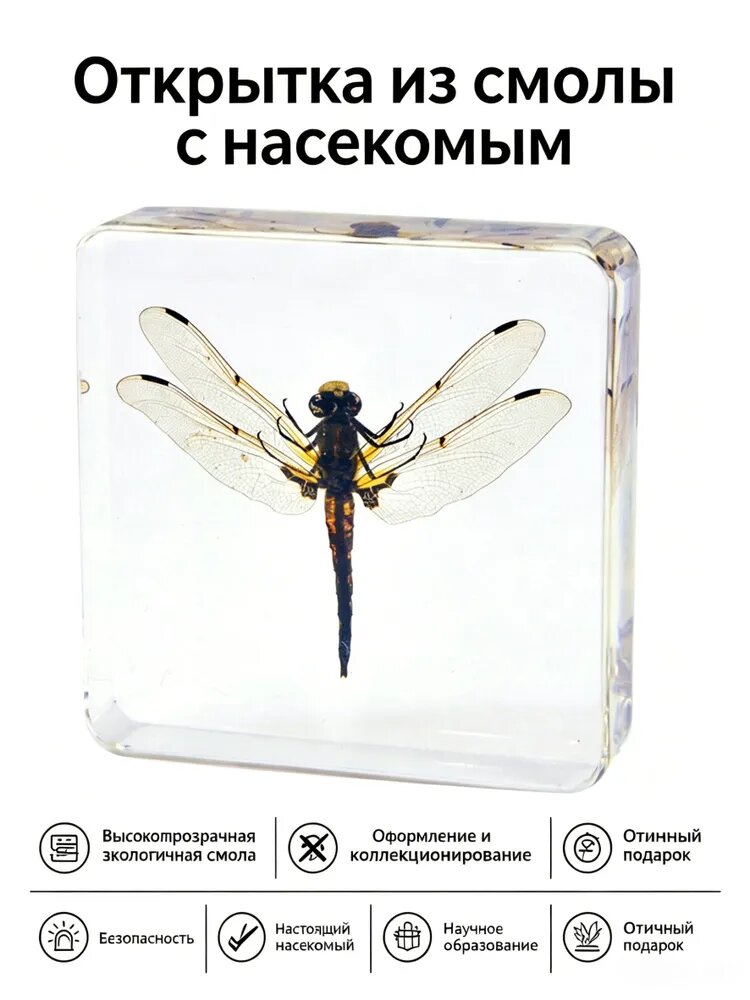 Статуэтка Дракончик 7,5 см, высота 7.5 см, длина 7.5 см