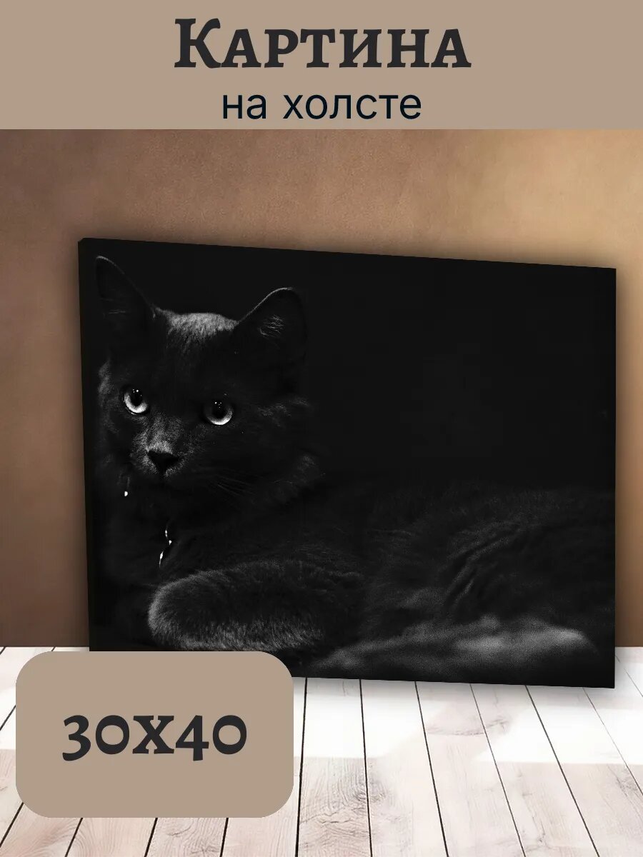 Картина Кот Кошка Cat 30x40 черный котенок портрет