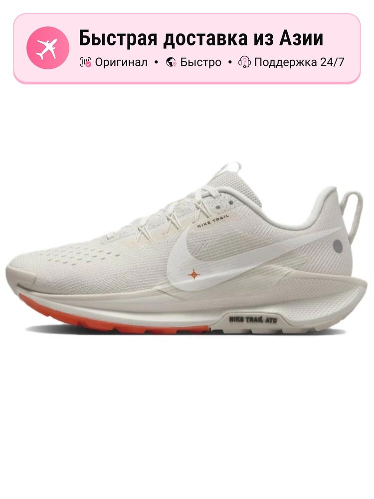 Кроссовки NIKE 2002R