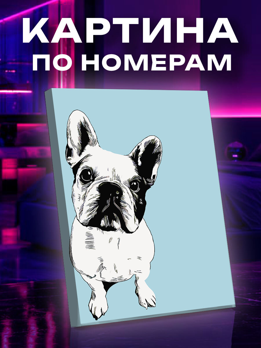 Картина по номерам Собака