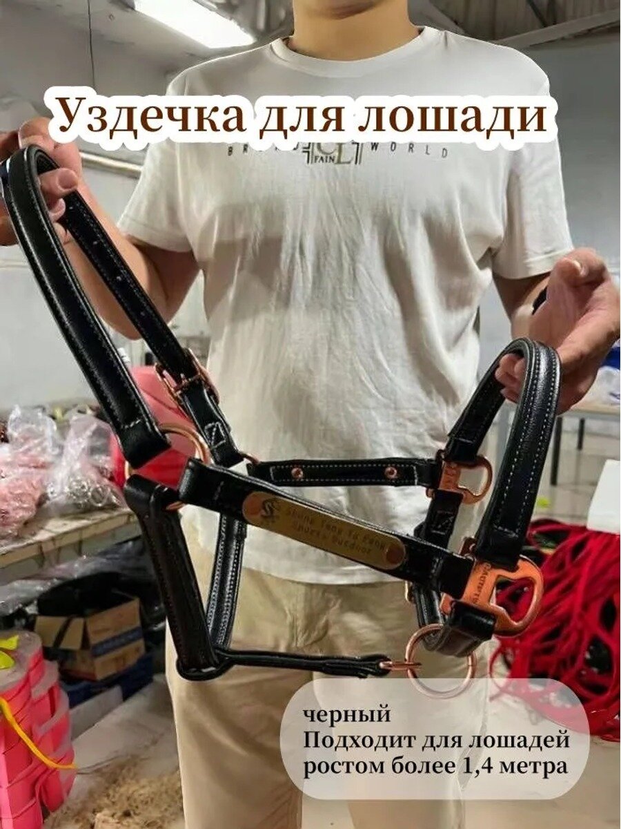 Недоуздок для лошади из микрофибры с трензелем и медной фурнитурой