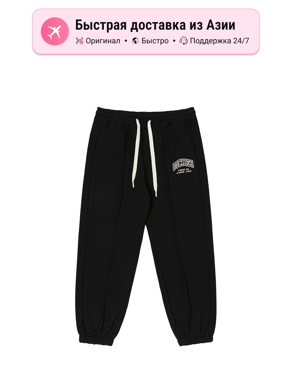 Брюки спортивные Dickies 9709749