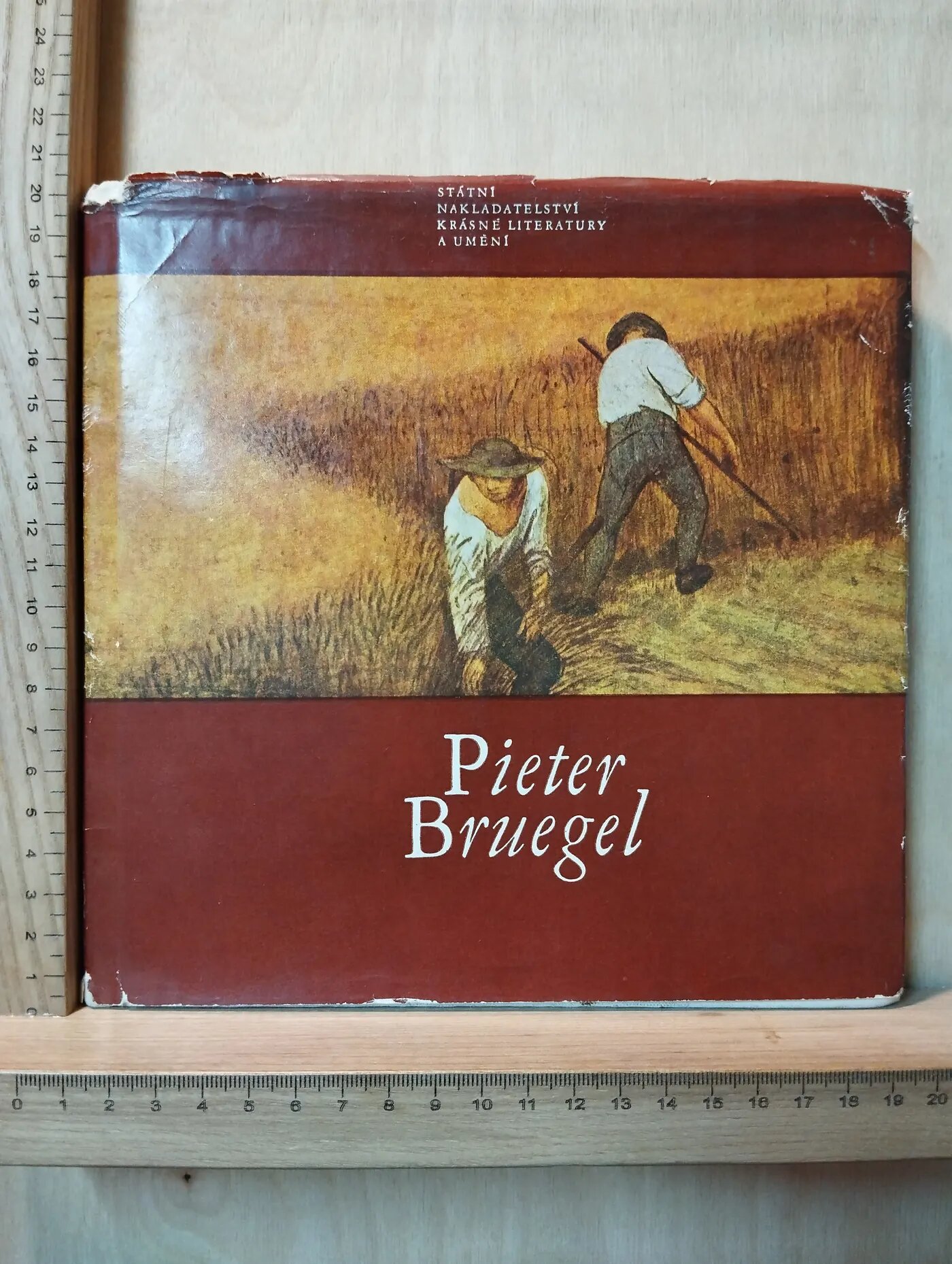 Pieter Bruegel (Питер Брейгель) (на чешском языке)