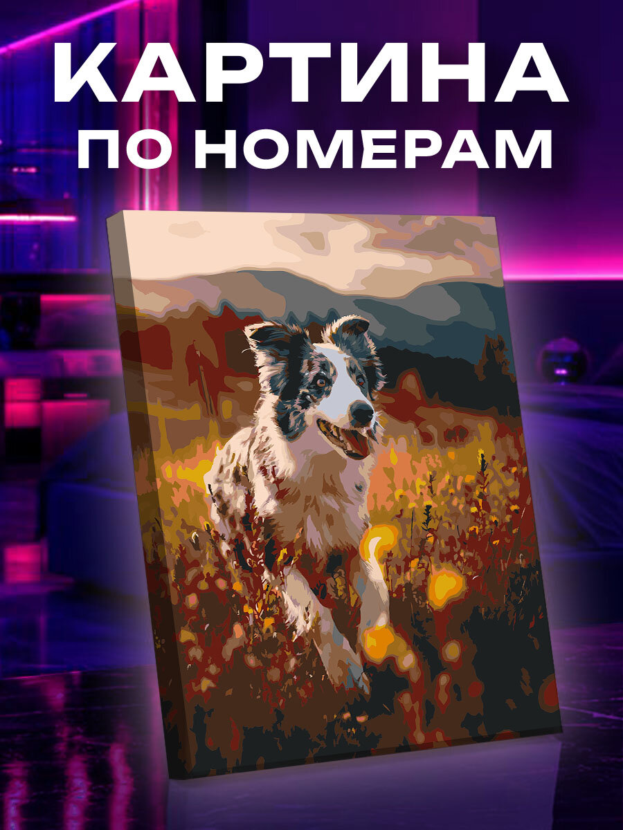 Картина по номерам Собака