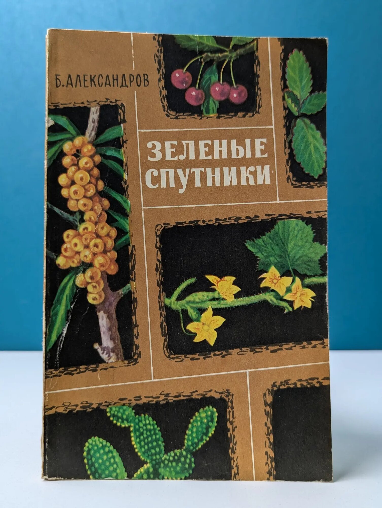Зеленые спутники Александров Борис Алексеевич 1969