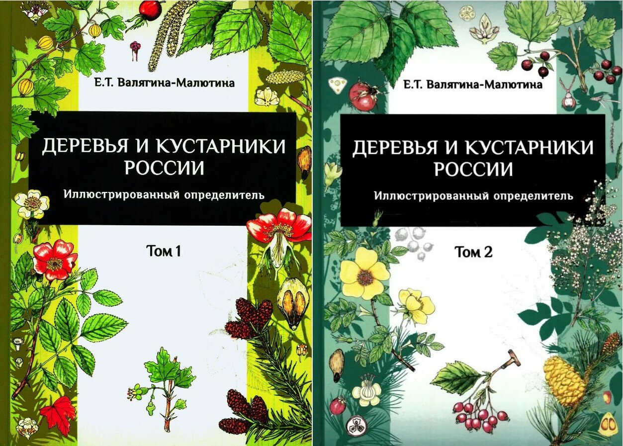Валягина-Малютина Е. Т. Деревья и кустарники России. Иллюстрированный определитель (в 2 т)