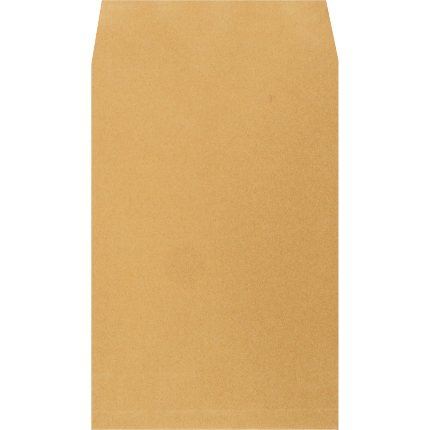 Extrapack Пакет Extrapack С4 (229x324 мм) из крафт-бумаги 100 г/кв. м коричневый стрип до 250 листов (250 штук в упаковке)