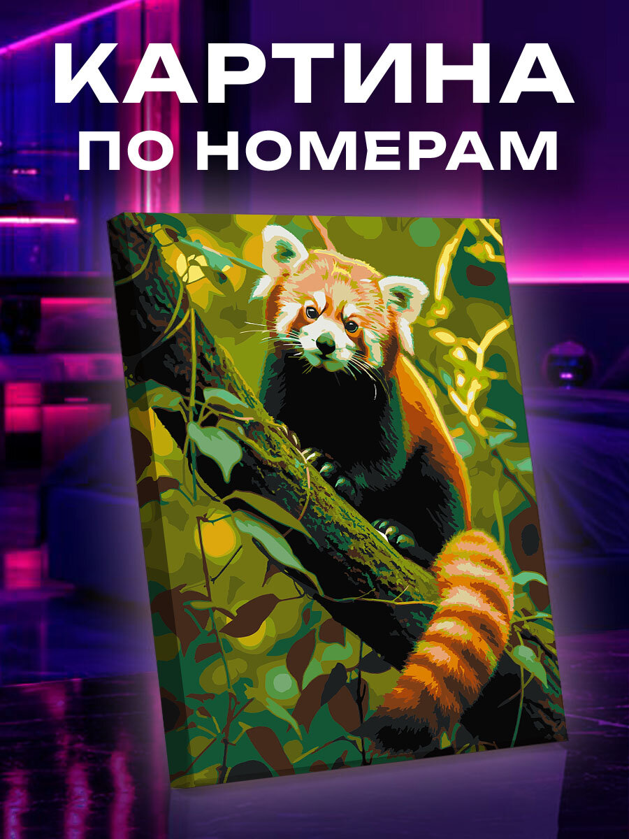 Картина по номерам Панда