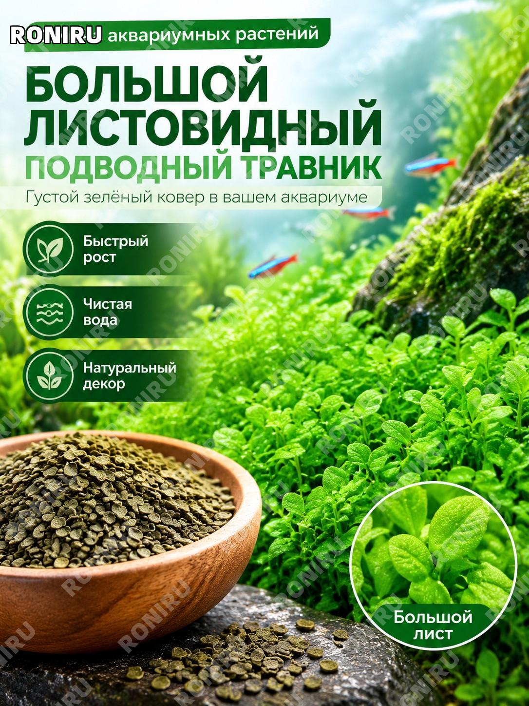Семена аквариумной травы большой двулистной травы, 1 упаковка около 2888 шт для аквариума и акваскейпа в доме уюта