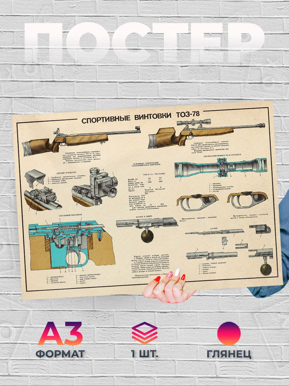 P342 Плакат Спортивная винтовка ТОЗ-78 с прицелом А3