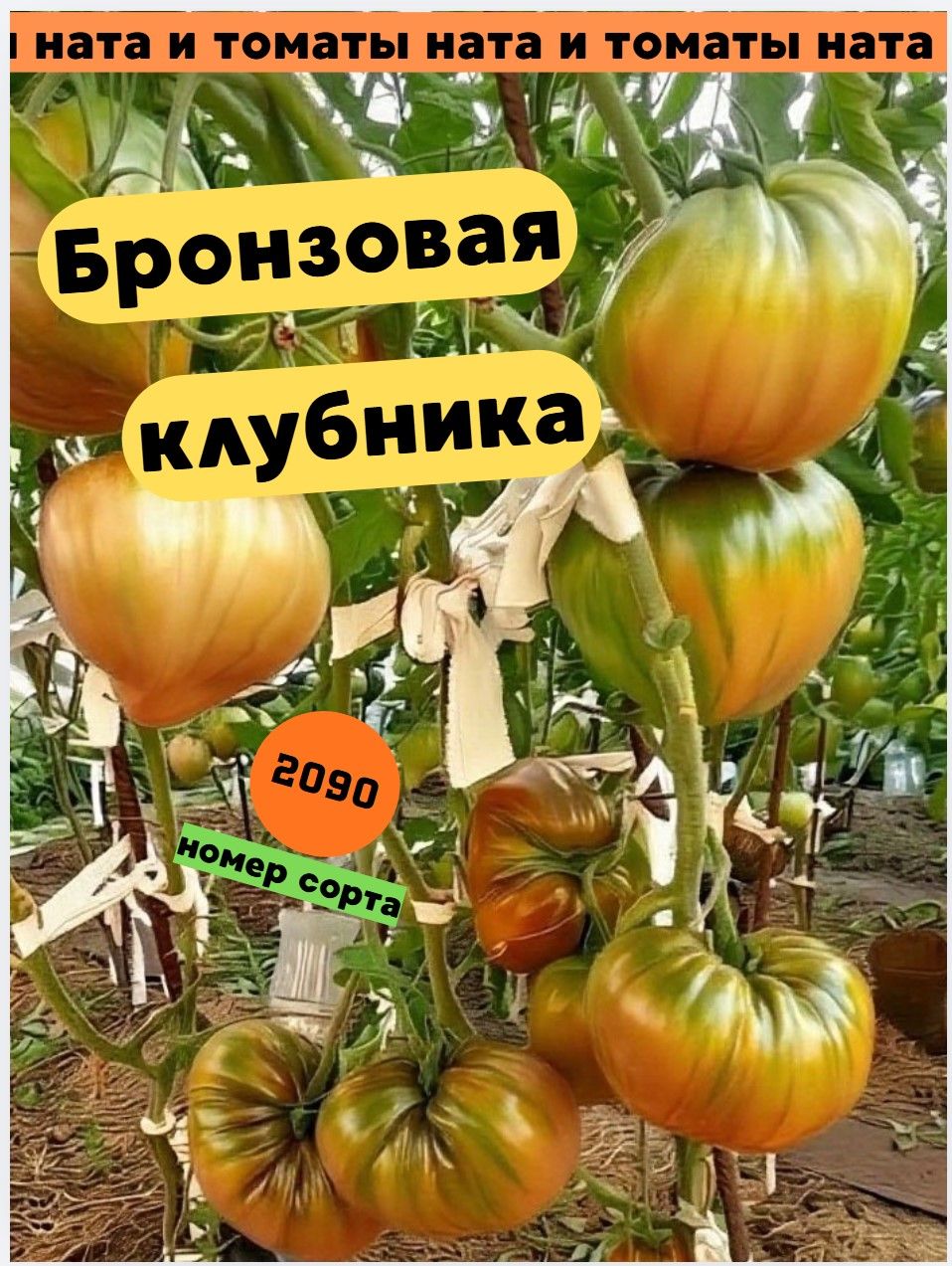 Коллекционные семена томата Бронзовая клубника . Селекция С. Сааковой 10 шт