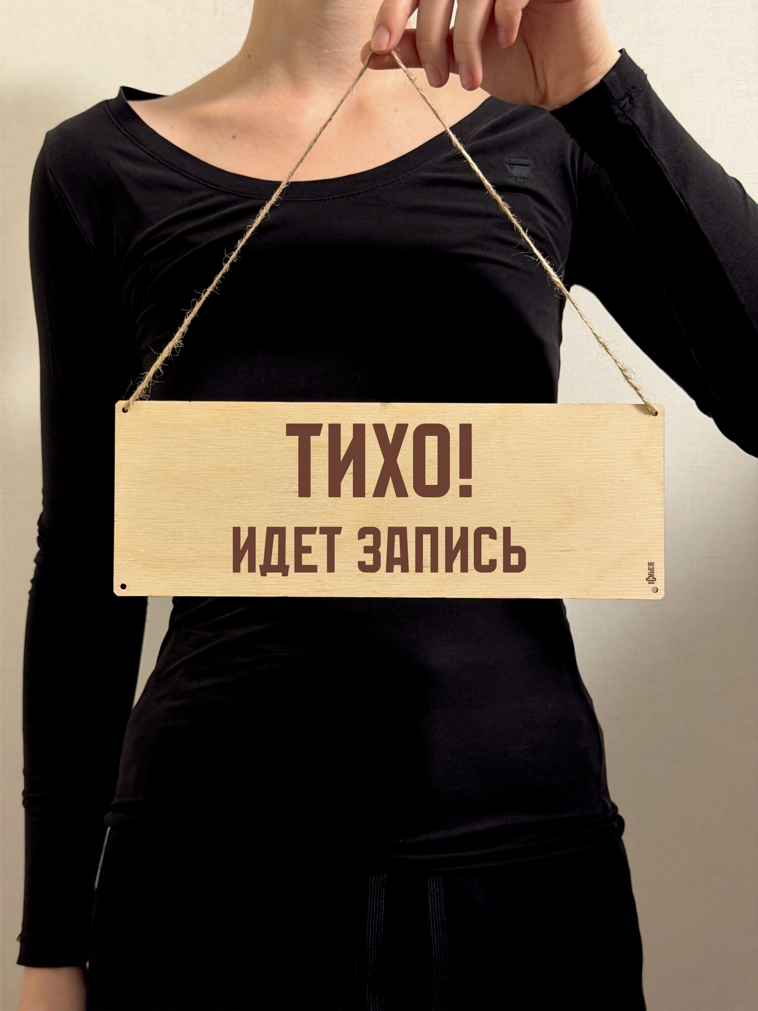 Табличка интерьерная. Тихо идет запись. 10х28 см.