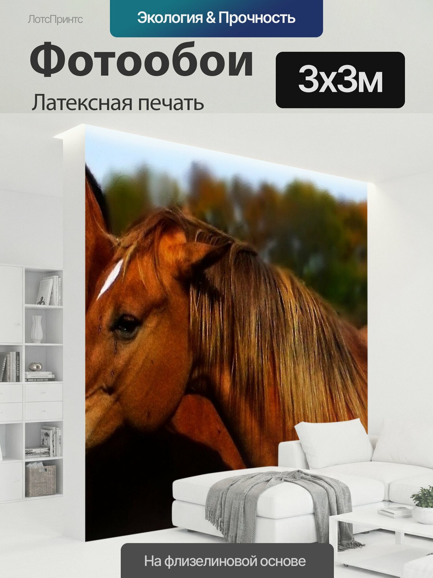 Фотообои моющиеся ударопрочные "Лошадь, поле, ферма" 300x300 см. латексная печать