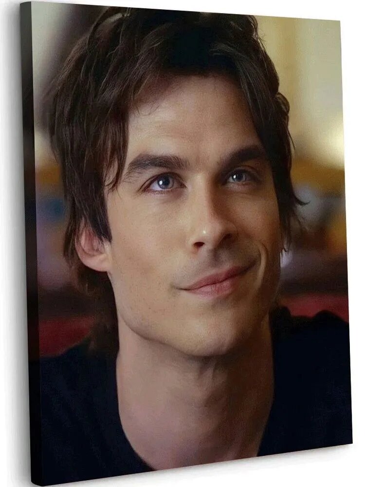 Картина По Номерам Для Взрослых Начинающих, 40x50см, Vampire Diaries Дневники вампира