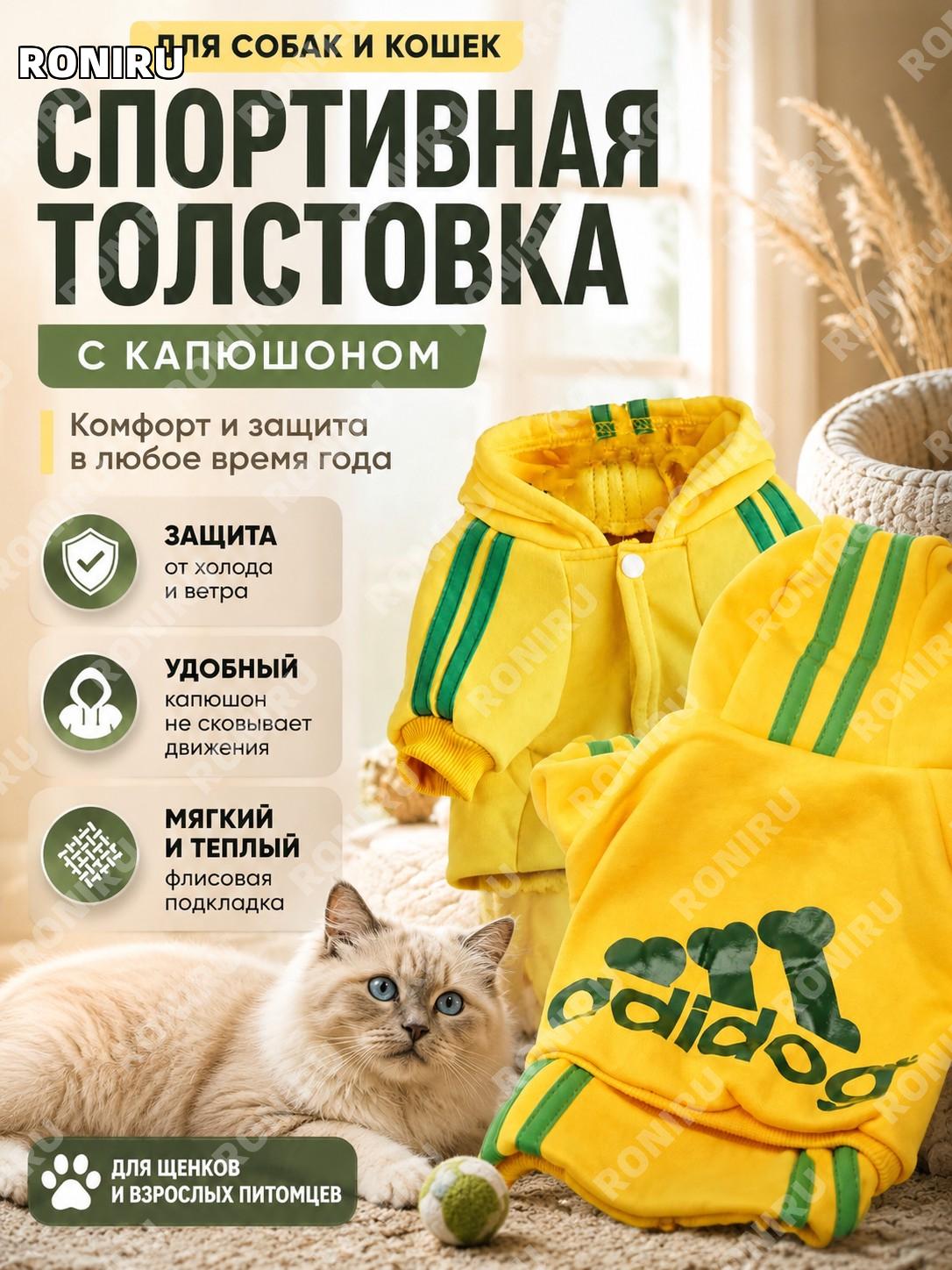 Спортивная толстовка для собак и кошек с капюшоном, яркая всесезонная одежда для питомцев для щенков и взрослых