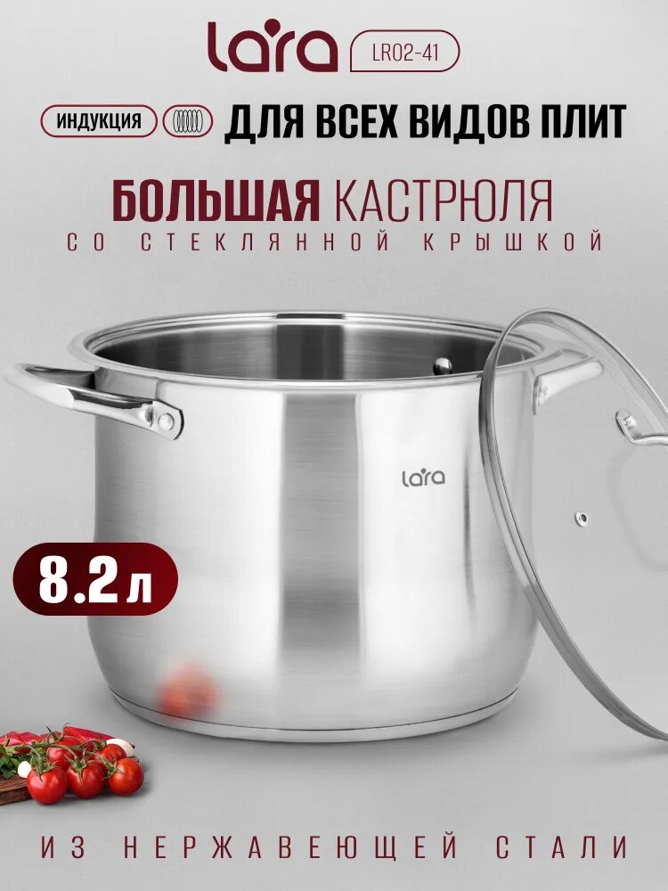 Большая кастрюля с крышкой 8,2 л LARA Big size из нержавеющей стали, для индукционных плит, для всех видов плит LR02-41