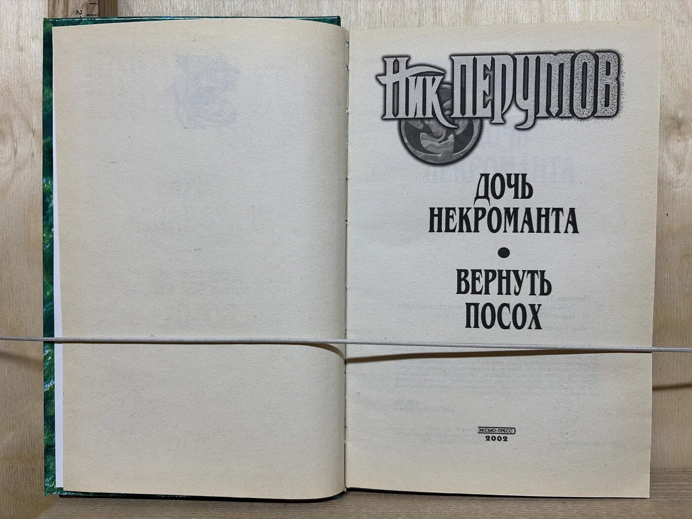 Дочь некроманта — фото 1