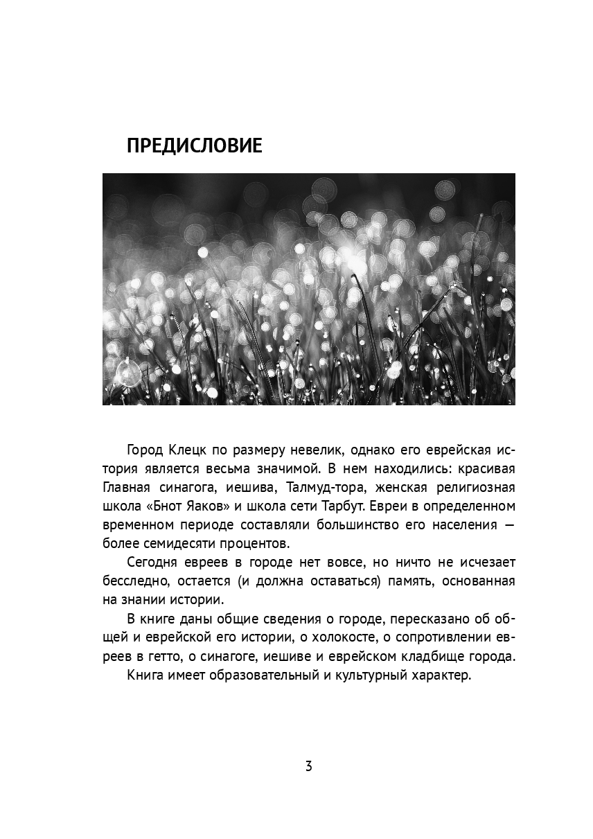 Клецк и евреи — фото 1