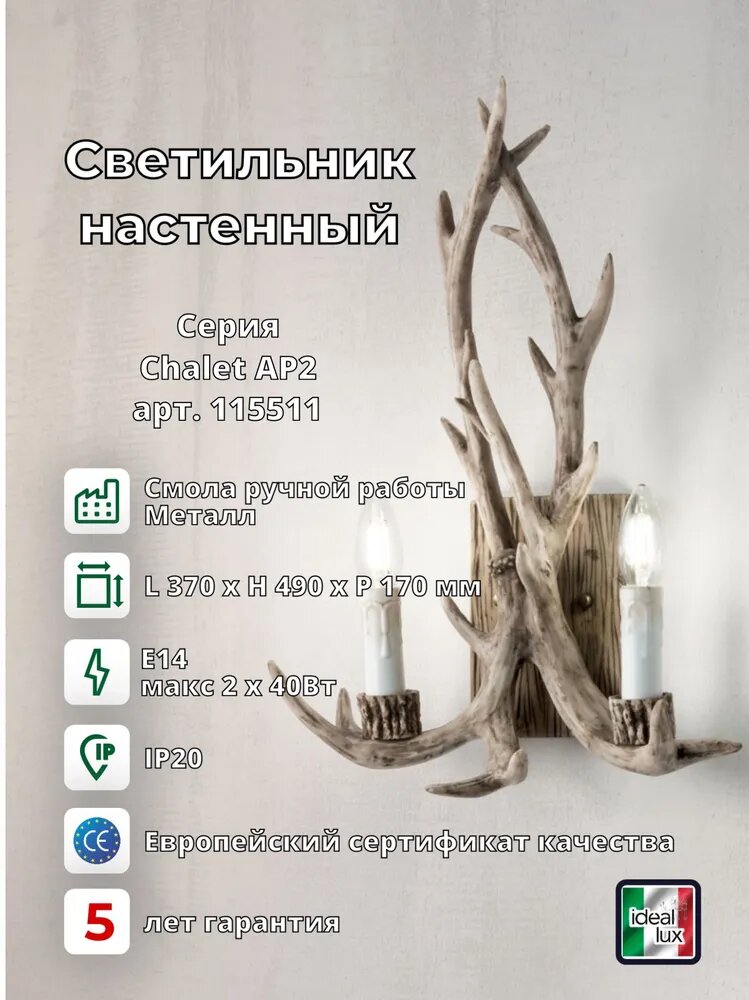 Настенный светильник 2, E14, 2x40Вт, смоль, металл, IP20