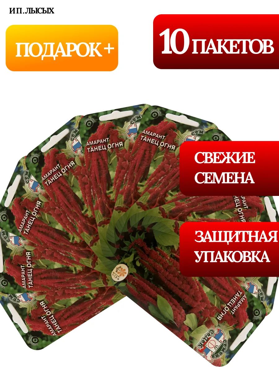 Семена Амарант "Танец Огня"
