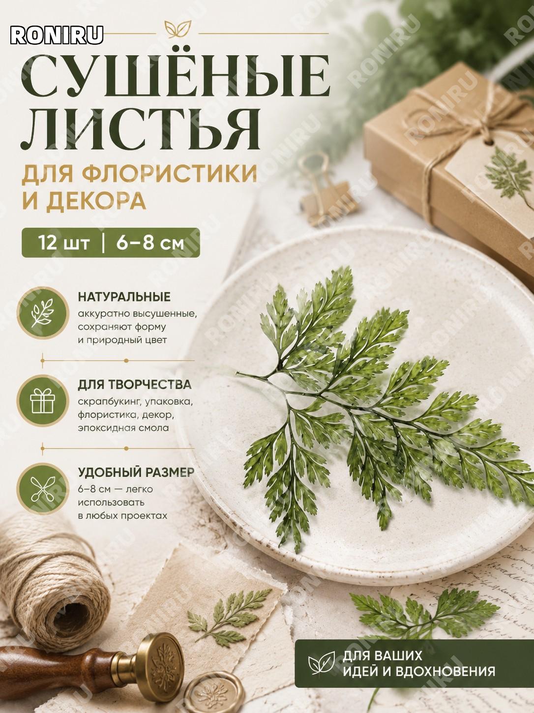 Натуральные сушёные листья для флористики и декора 6-8 см, 12 шт для скрапбукинга, эпоксидной смолы и творчества