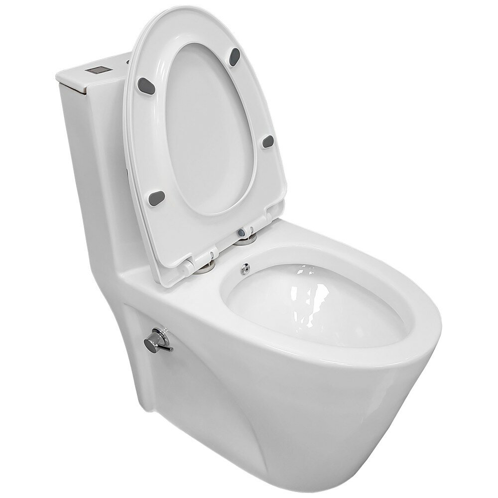 Унитаз Bloomix Mono MD5015SB моноблок безободковый с функцией биде и смесителем