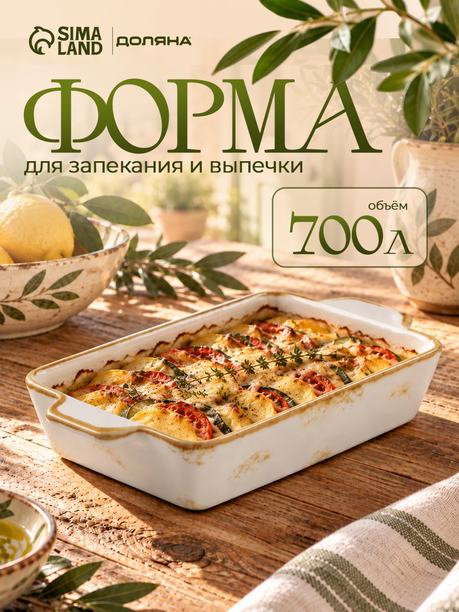 Форма для запекания, объем 700 мл, размер 23,5х13х4,5 см, фарфоровая