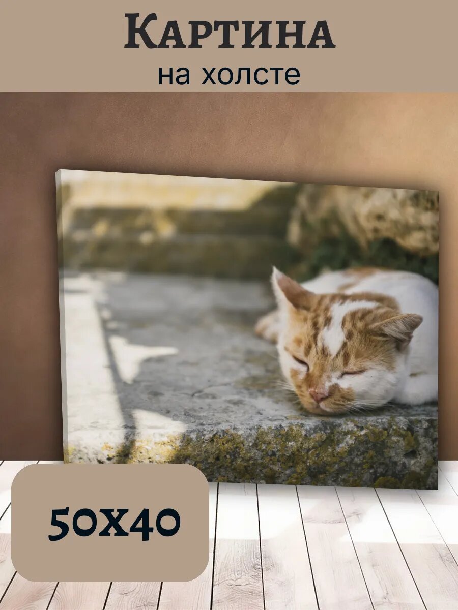 Картина Кот Кошка Cat 40x50 уютный рыжий котенок