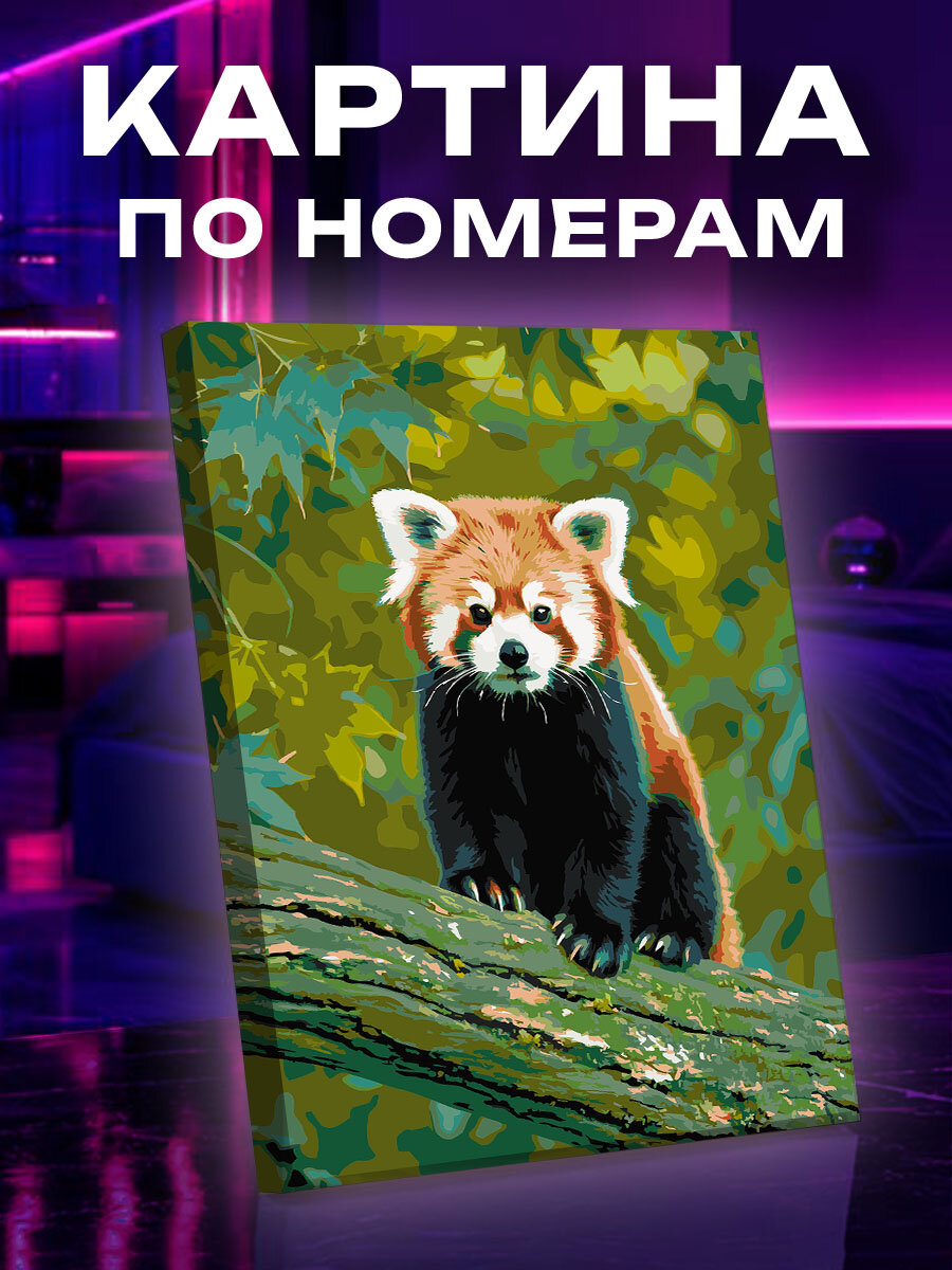 Картина по номерам Панда