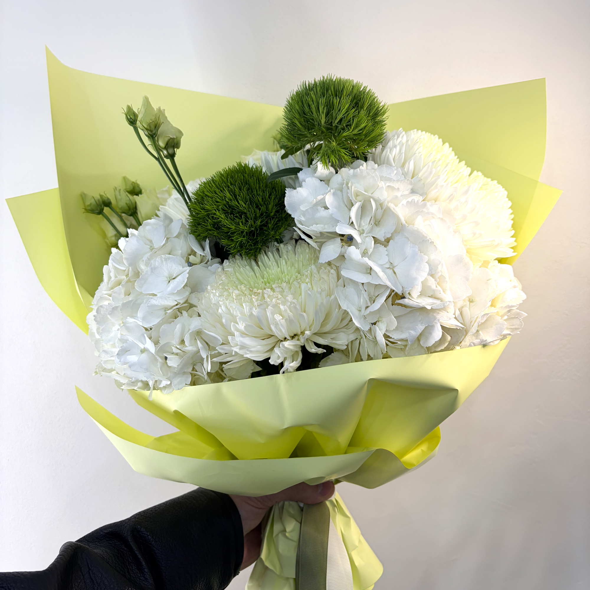 Хризантемы и гортензии Lime&White