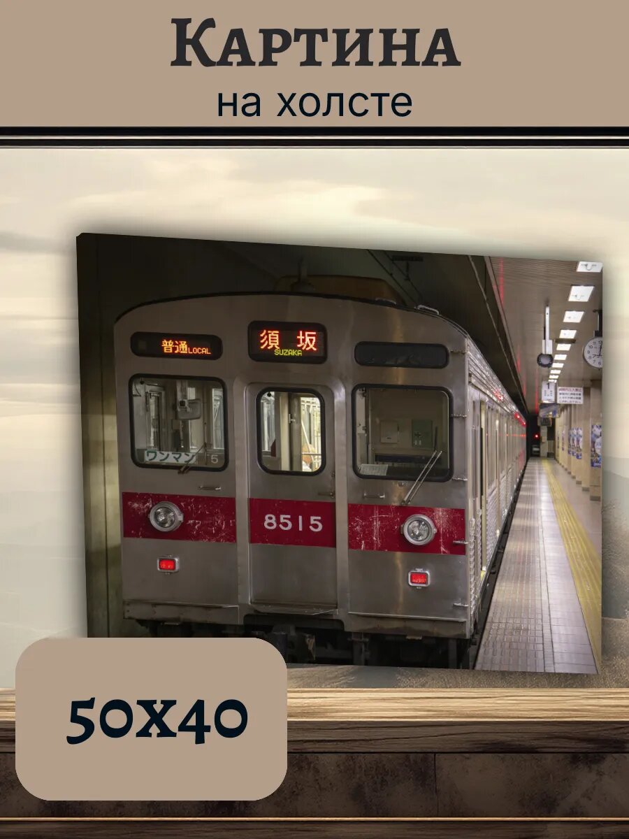 Картина Япония Japan 40x50 электропоезд Сузака