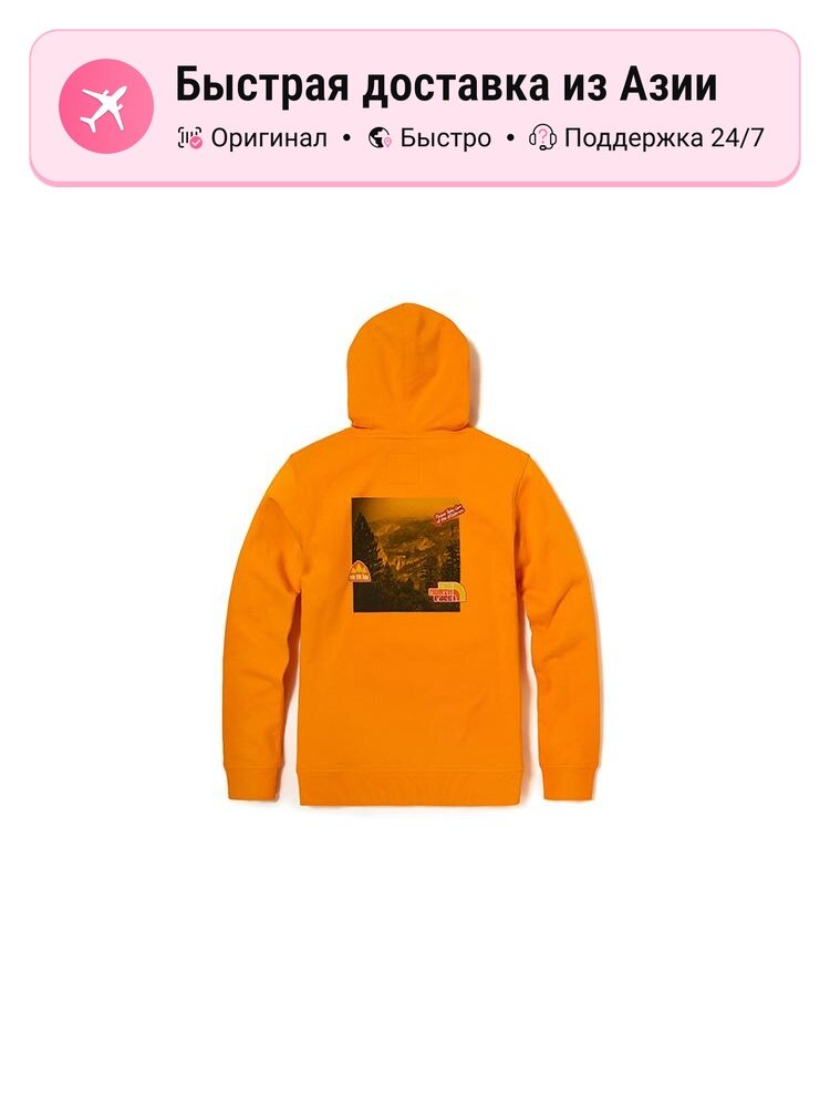 Толстовка The North Face THE NORTH FACE 9768595, 1 шт.