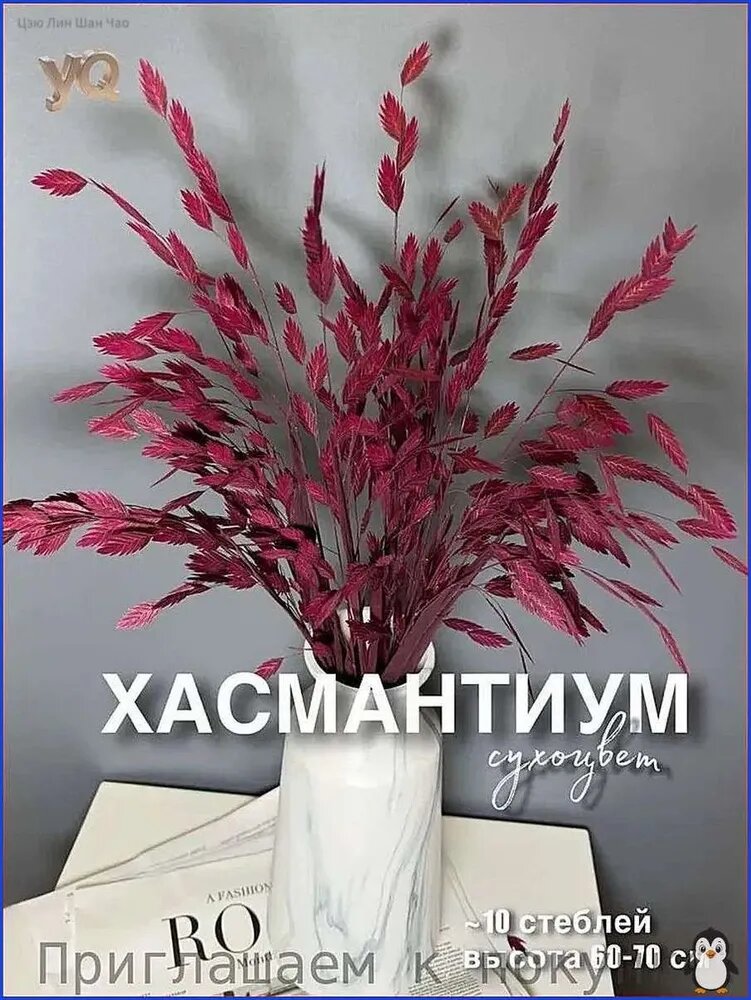 Сухоцветы Овёс, Мискантус 70 см 10 шт красный