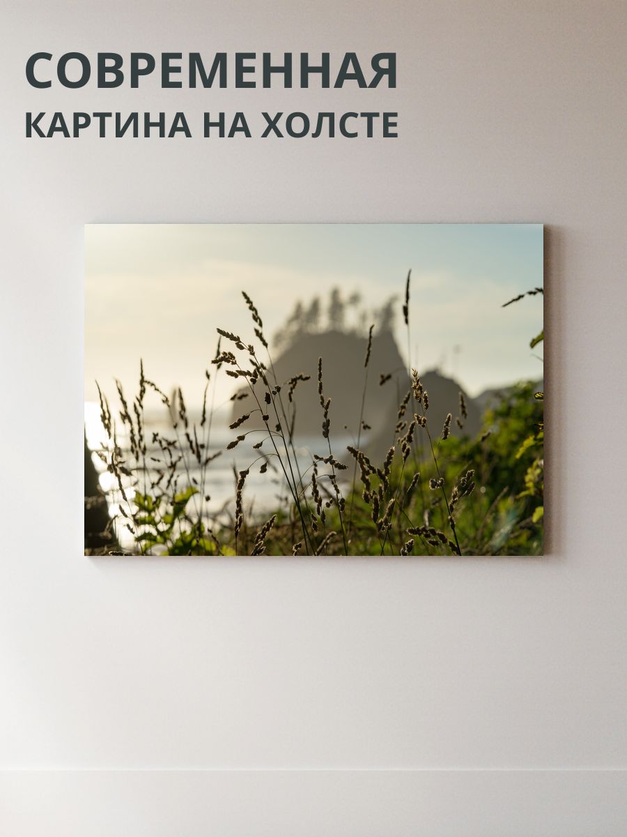 Картина на холсте Трава на лугу 70x50 см