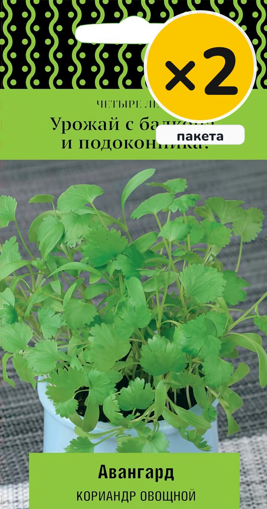 Семена кориандра овощного Авангард, 1 г, 2 пакета, Поиск, однолетник, высота до 30 см, посев в грунт в апреле–мае