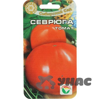 Семена Томат Севрюга - крупноплодный , великолепного вкуса , 20 семечек . Сибирский Сад