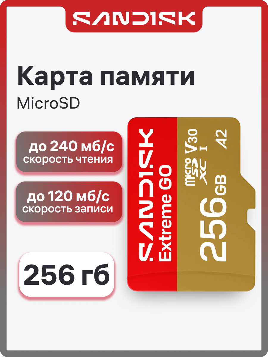 Карта памяти SanDisk 256 ГБ Extreme Go, MicroSD, до 240/160 мб/с, A2 V30 (SDSQXGN-256G-GN6MN)