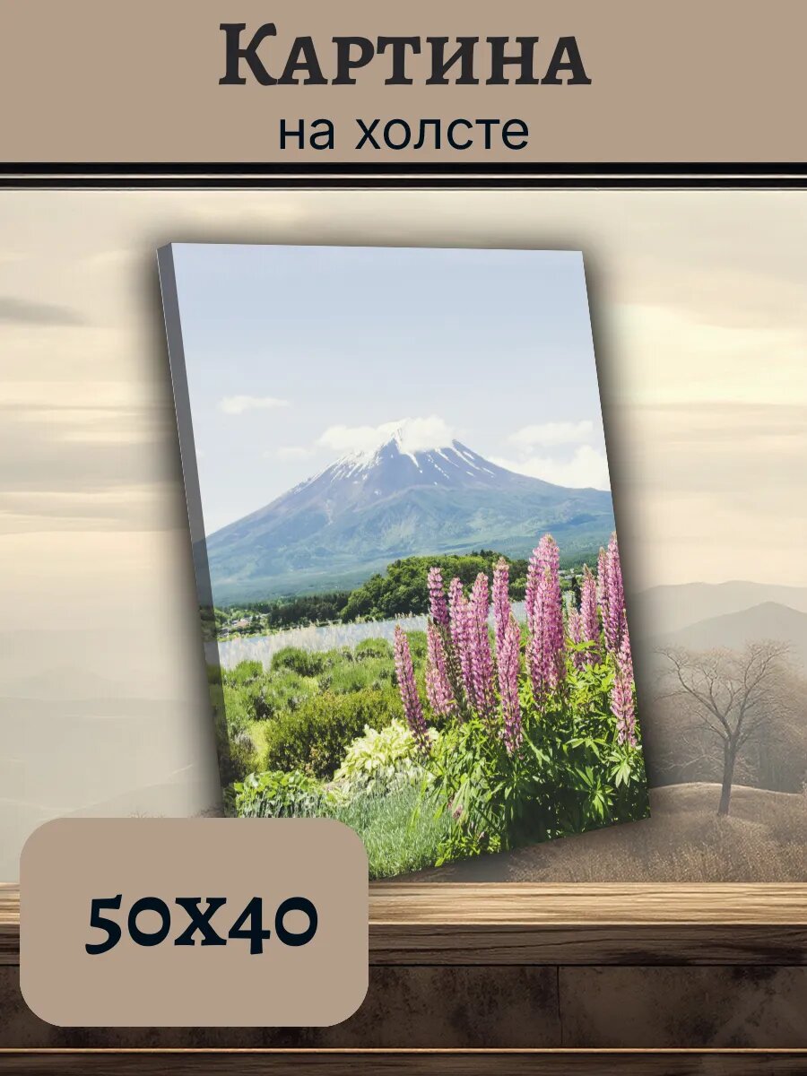 Картина Япония Japan 40x50 с горой Фудзи