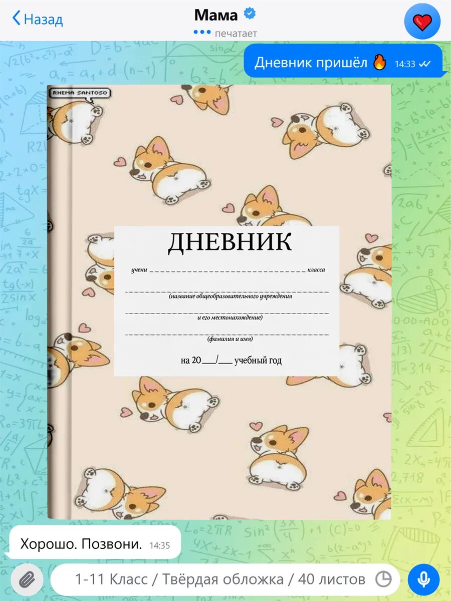 Школьный дневник с принтом Роблокс