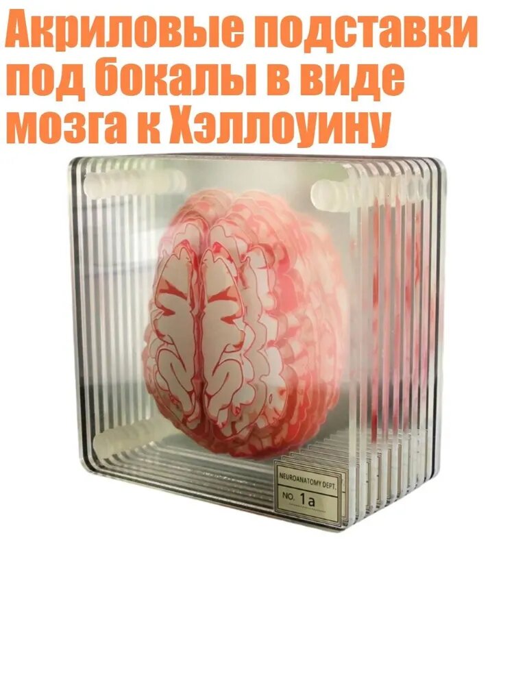 Акриловые подставки под бокалы в виде мозга к Хэллоуину, - 10ШТ мозга