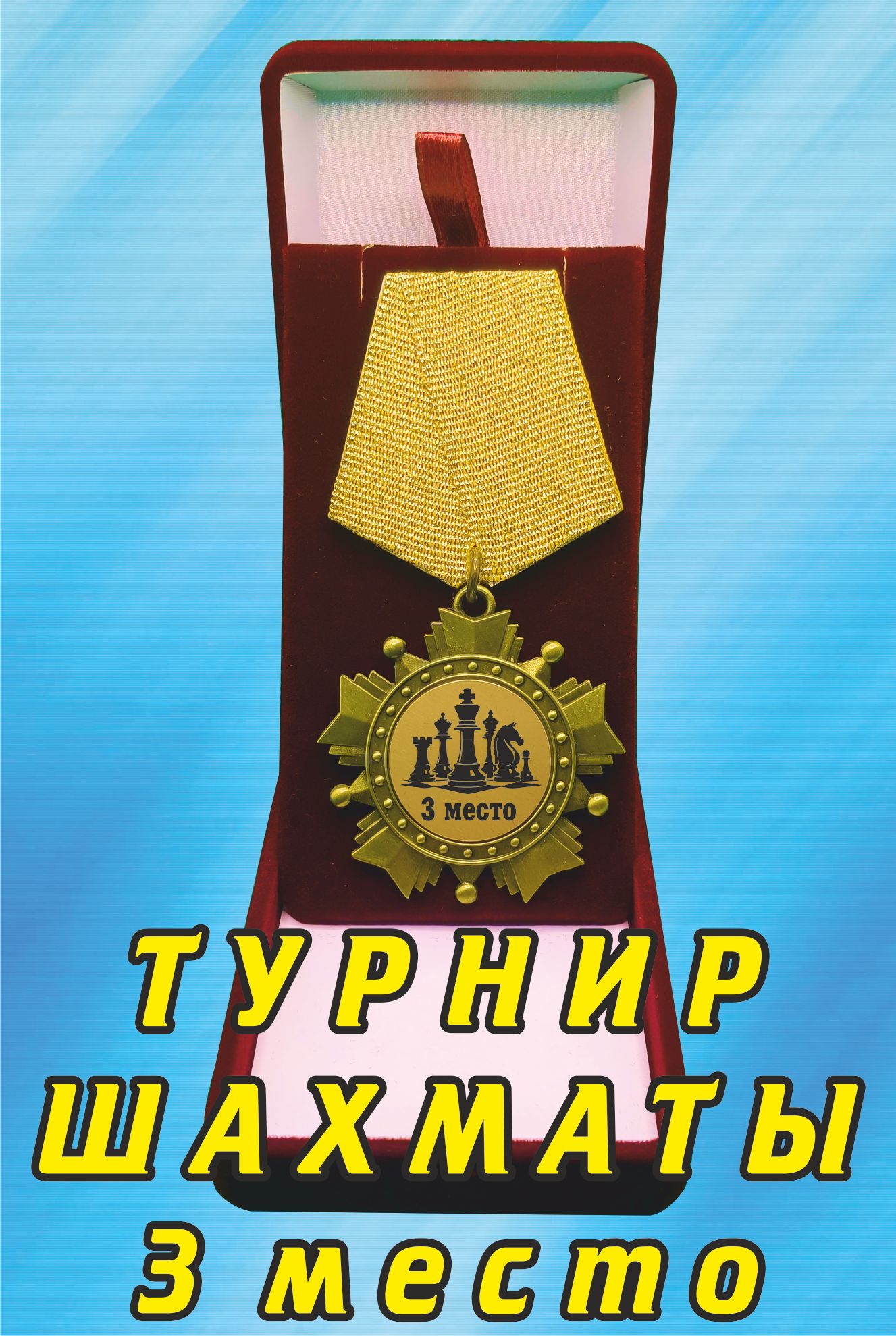 Медаль орден "Турнир по шахматам, 3 место".