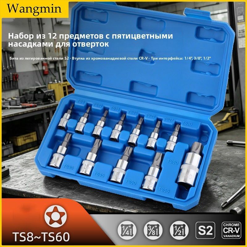 Набор бит TS 12 шт, 1/4",3/8",1/2", пятилепестковые биты S2+Cr-V, для ремонта авто