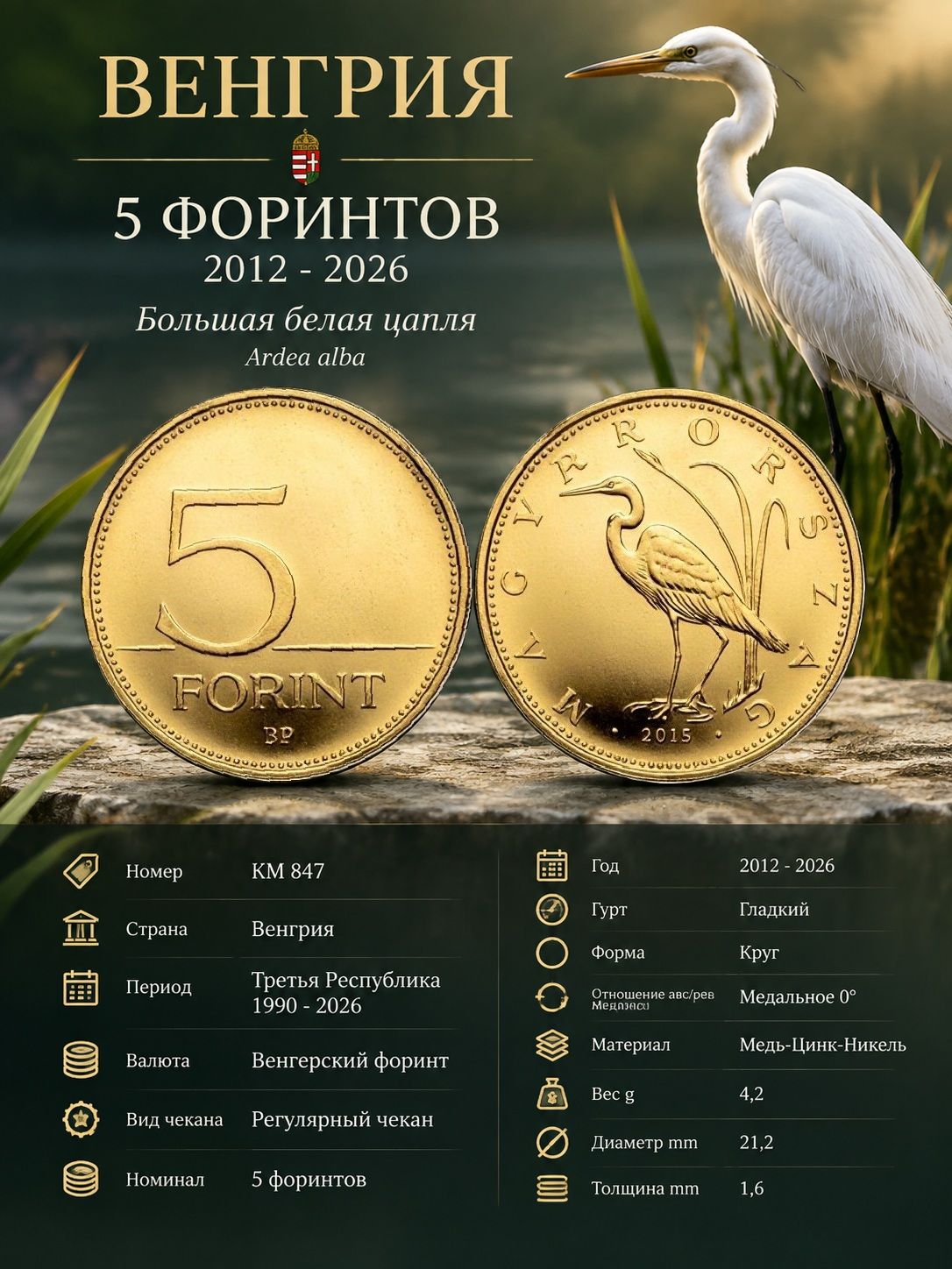 Венгрия 5 форинтов, 2015 Большая белая цапля XF