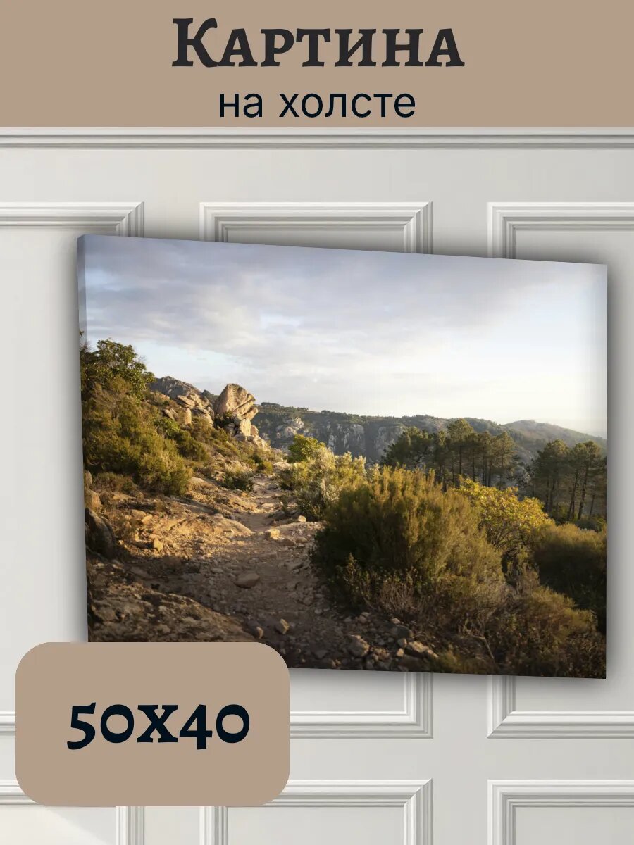 Картина Франция France 40x50 горный пейзаж с тропой