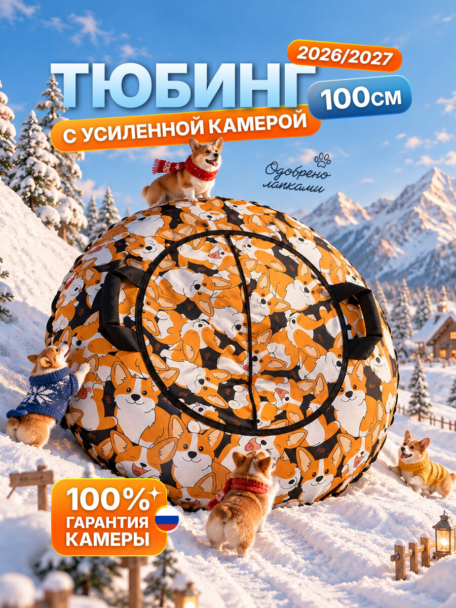 Ватрушка тюбинг F78 "Корги" 100 см, с камерой