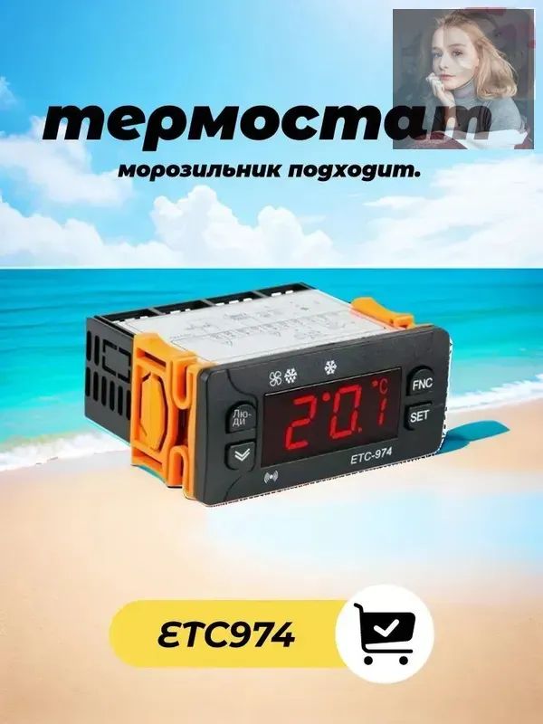 Контроллер ETC-974 в черном корпусе из металла и пластика для управления холодильниками и охлаждающими камерами
