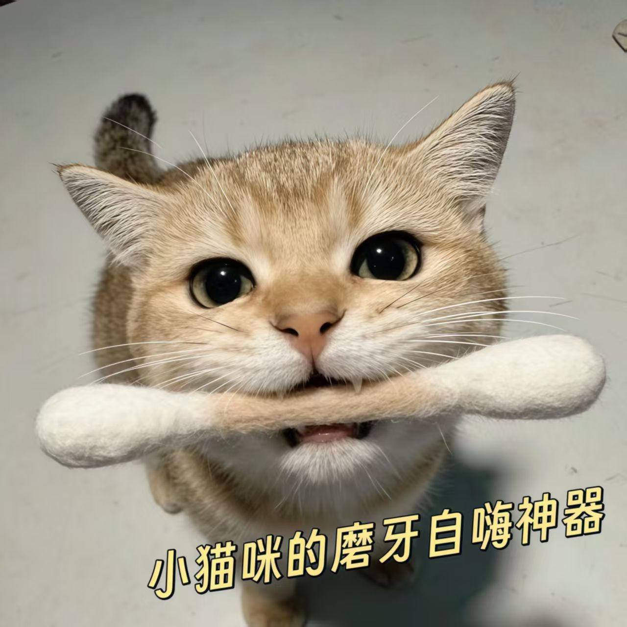 Игрушка‑дразнилка для кошек, похожая на вату, — очаровательные котята наверняка будут её очень любить.
