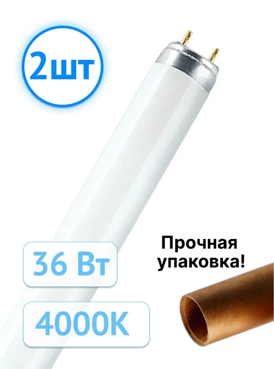 Люминесцентная лампа Osram Basic T8 36W/33-640 4000K 2850Лм G13 трубка (комплект из 2 шт.)
