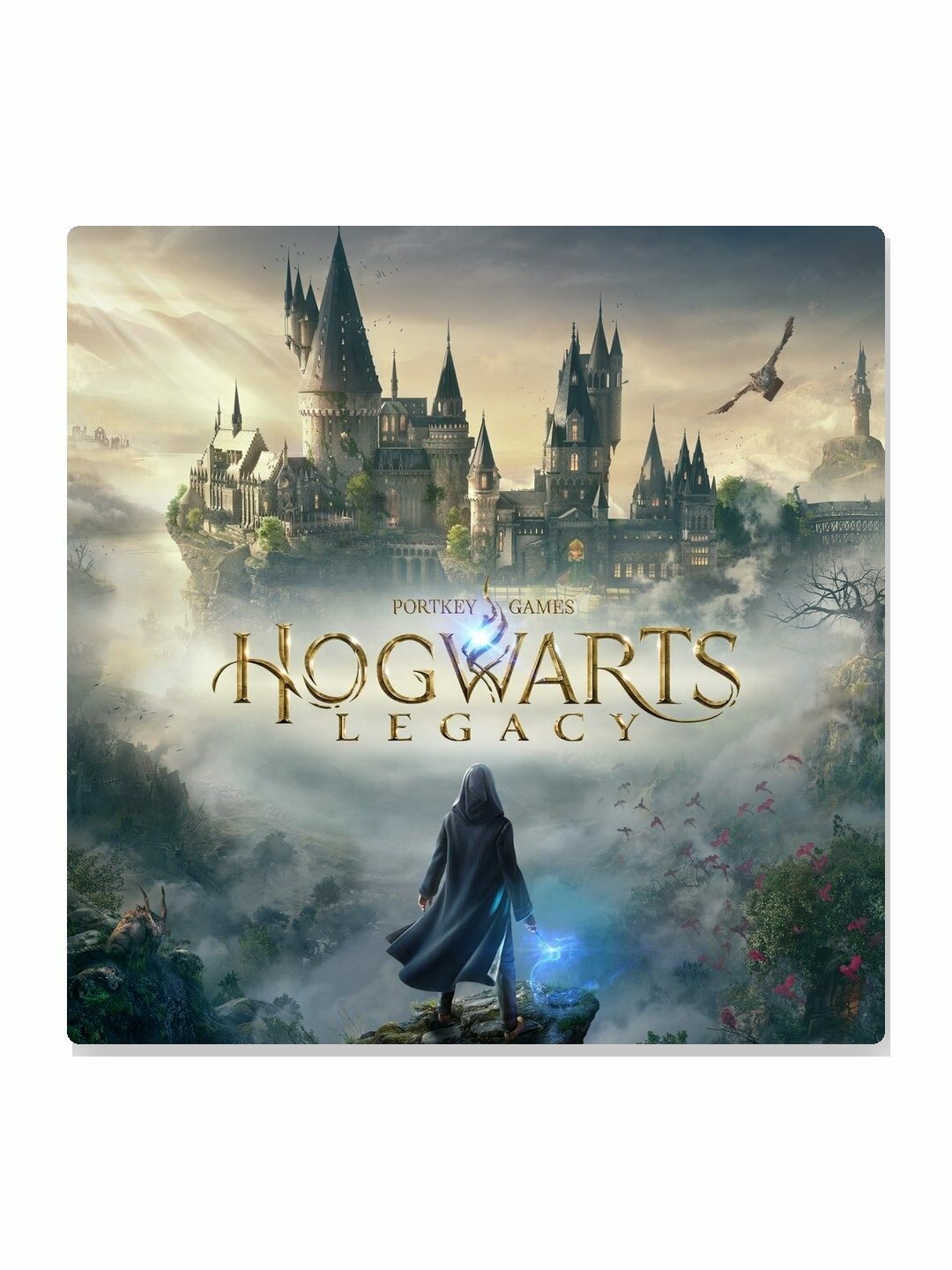 Игра Hogwarts Legacy Deluxe Edition для PlayStation 4, русская версия, диск (Blu-ray), 16+