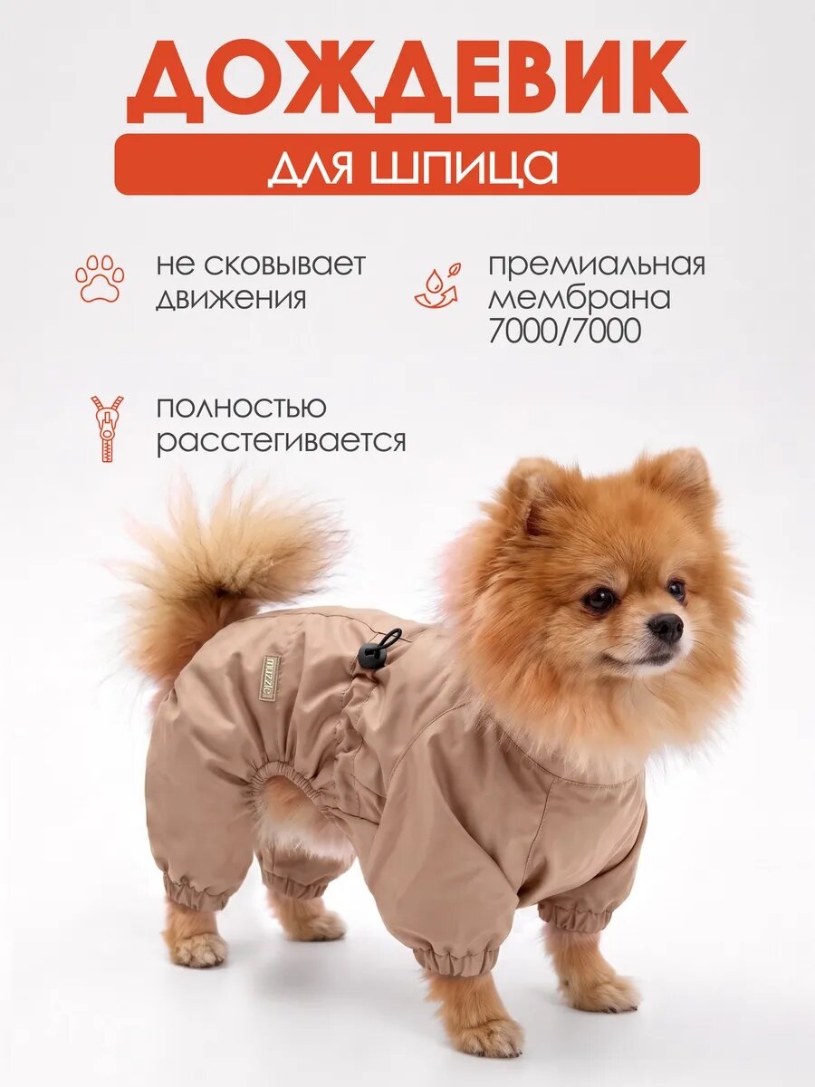 Дождевик для шпица Muzzle, водоотталкивающий, ветрозащитный, цвет бежевый, размер XS